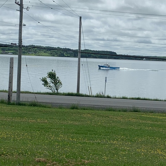 Meet your Posher, Sheila - Picture 1 of 1